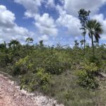 listing image thumbnail with ID 110216