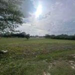 listing image thumbnail with ID 109985