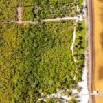 listing image thumbnail with ID 109924