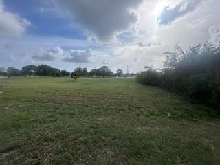 listing image with ID 109988