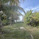 listing image thumbnail with ID 110425