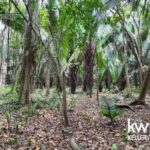 listing image thumbnail with ID 109977