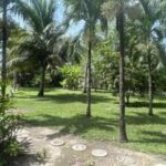 listing image thumbnail with ID 109309
