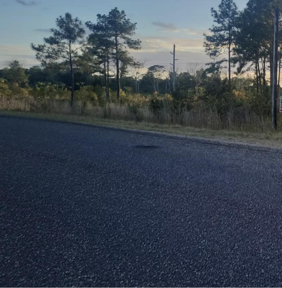 listing image with ID 110417