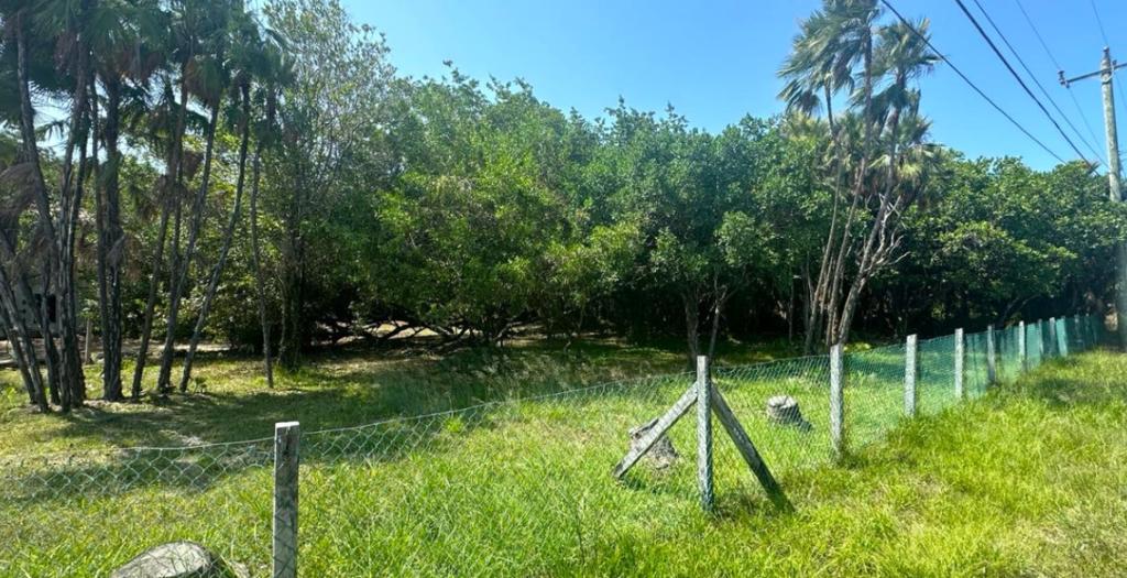 listing image with ID 109490
