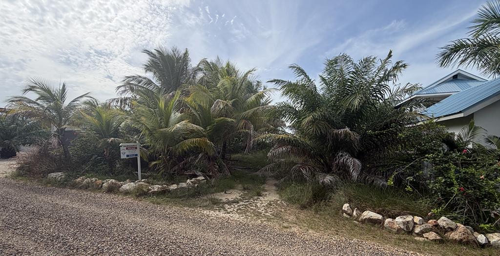 listing image with ID 110423