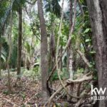 listing image thumbnail with ID 109975