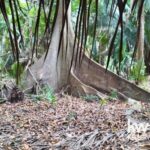 listing image thumbnail with ID 109969