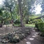 listing image thumbnail with ID 109308