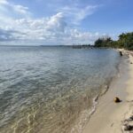 listing image thumbnail with ID 109462