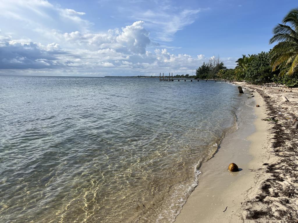listing image with ID 109462