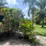 listing image thumbnail with ID 109303