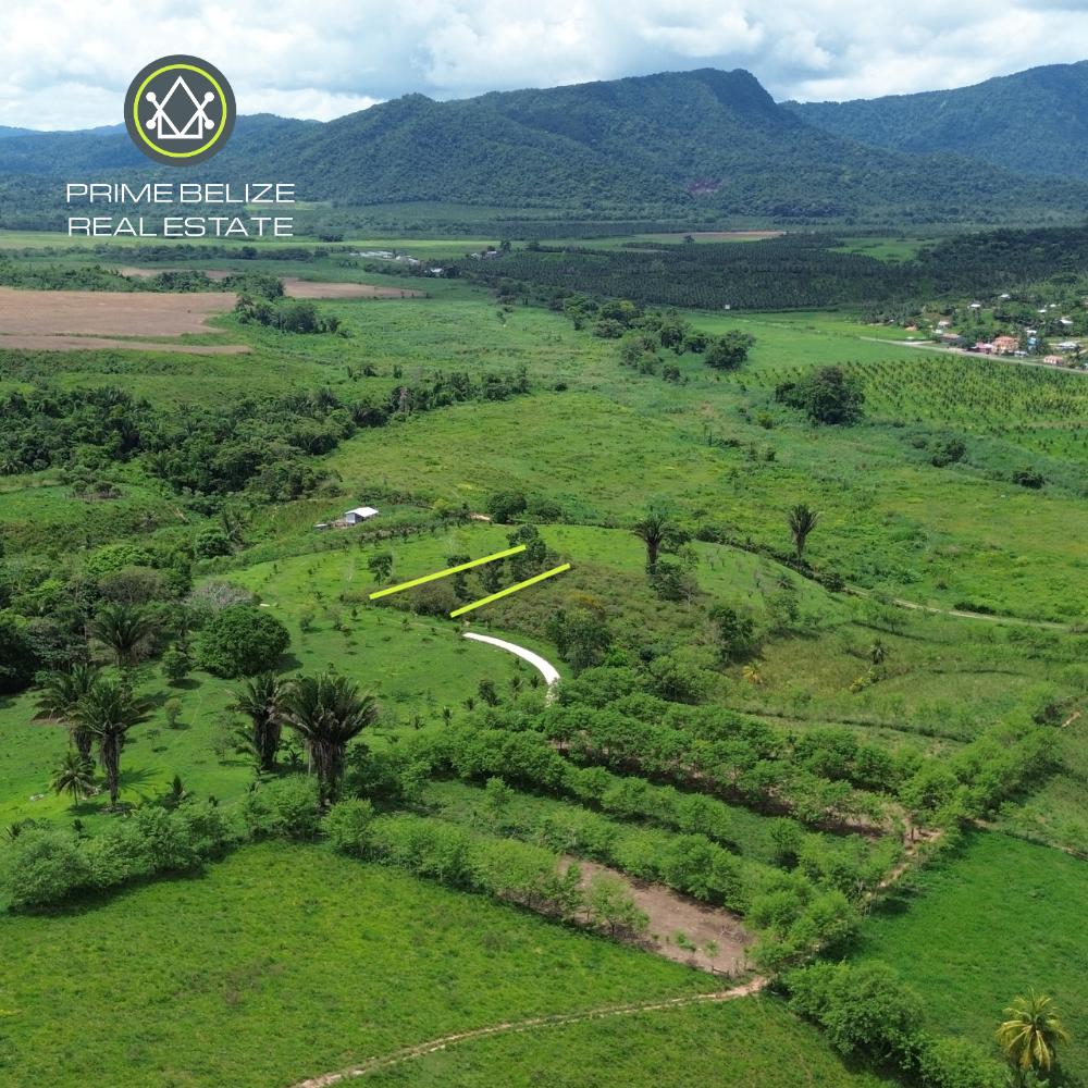 listing image with ID 109824