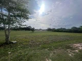 listing image with ID 109993