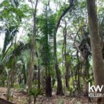 listing image thumbnail with ID 109971
