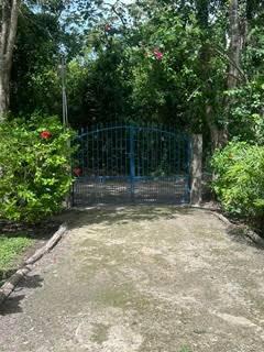 listing image with ID 109313