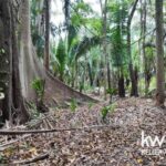 listing image thumbnail with ID 109973