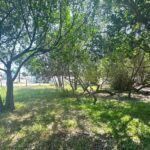 listing image thumbnail with ID 109483