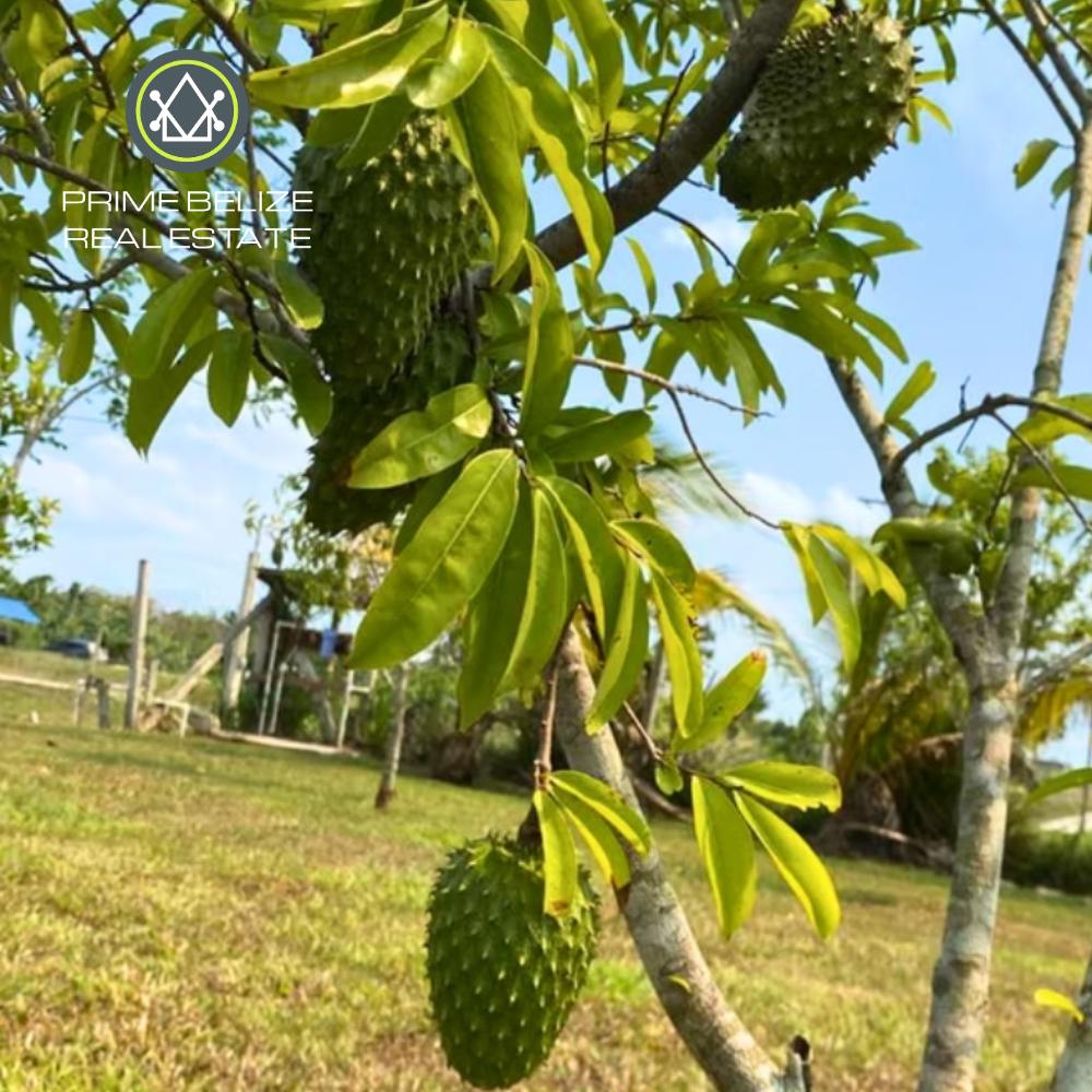 listing image with ID 110356