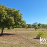 listing image thumbnail with ID 109958