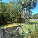 listing image thumbnail with ID 109494