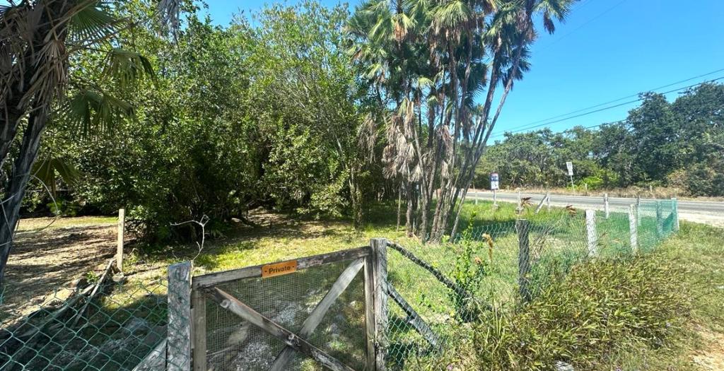 listing image with ID 109494
