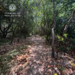 listing image thumbnail with ID 109829