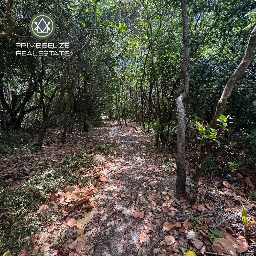 listing image with ID 109829