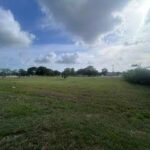 listing image thumbnail with ID 109995
