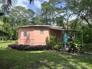 listing image with ID 109311