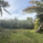 listing image thumbnail with ID 110427