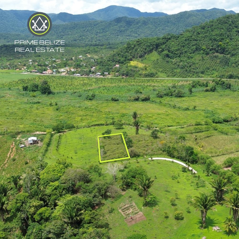 listing image with ID 109819