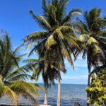 listing image thumbnail with ID 109565