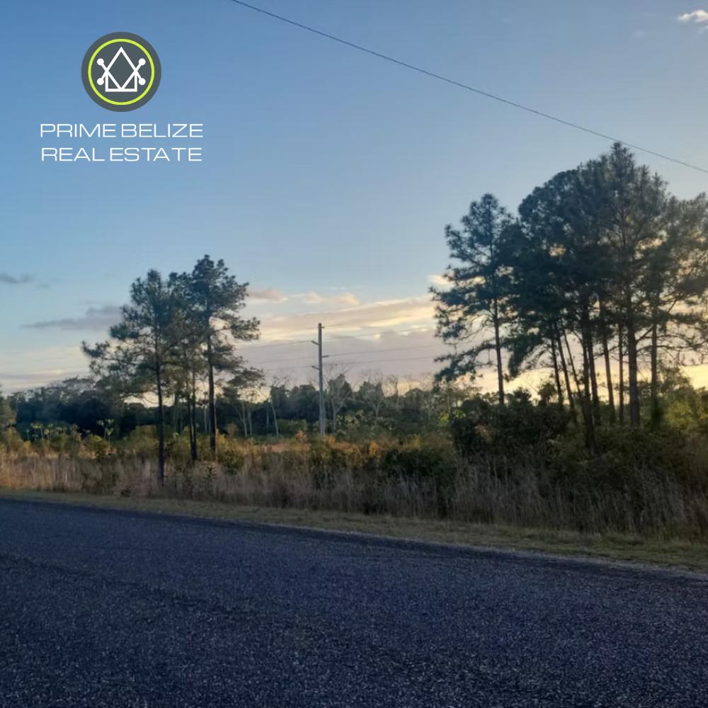 listing image with ID 110415