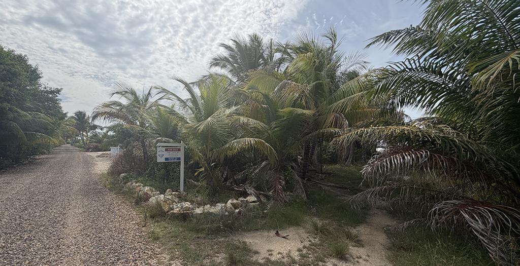 listing image with ID 110421