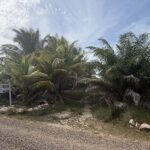 listing image thumbnail with ID 110422