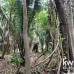 listing image thumbnail with ID 109974
