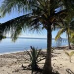 listing image thumbnail with ID 109463