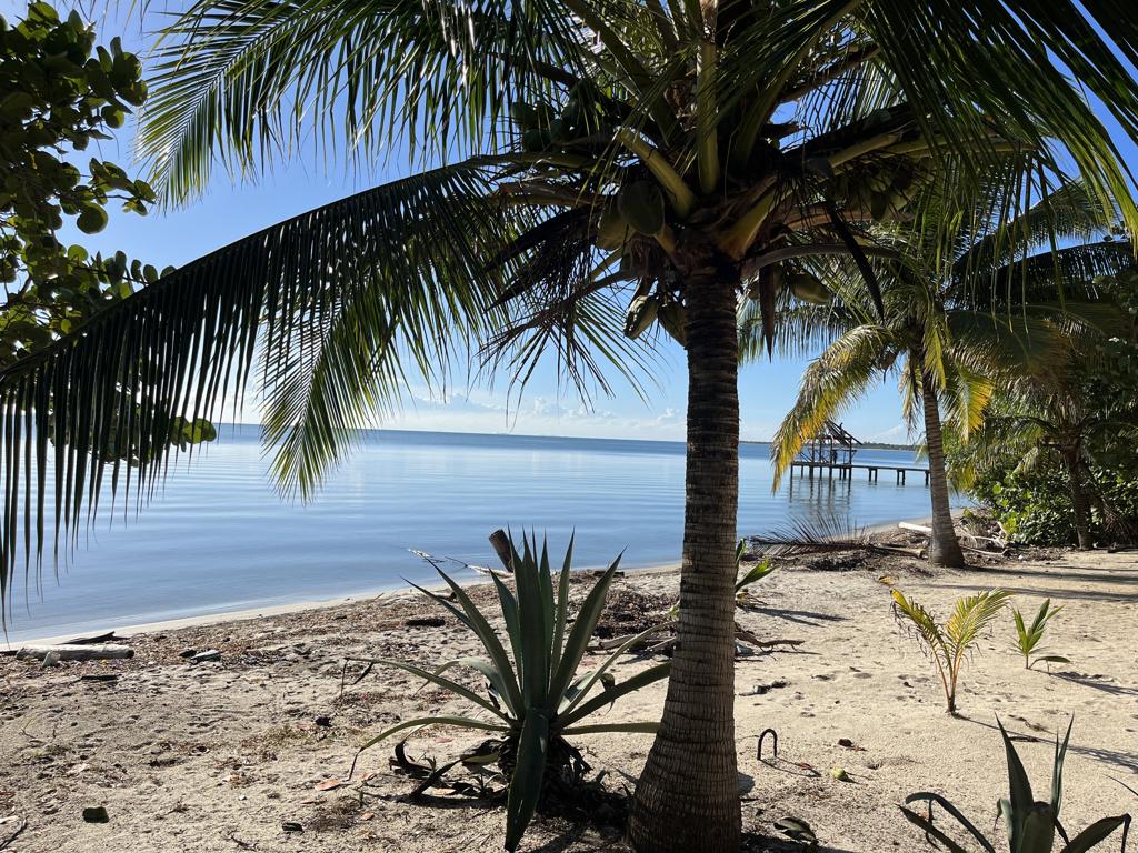listing image with ID 109463