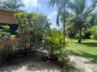 listing image with ID 109304