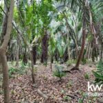 listing image thumbnail with ID 109976