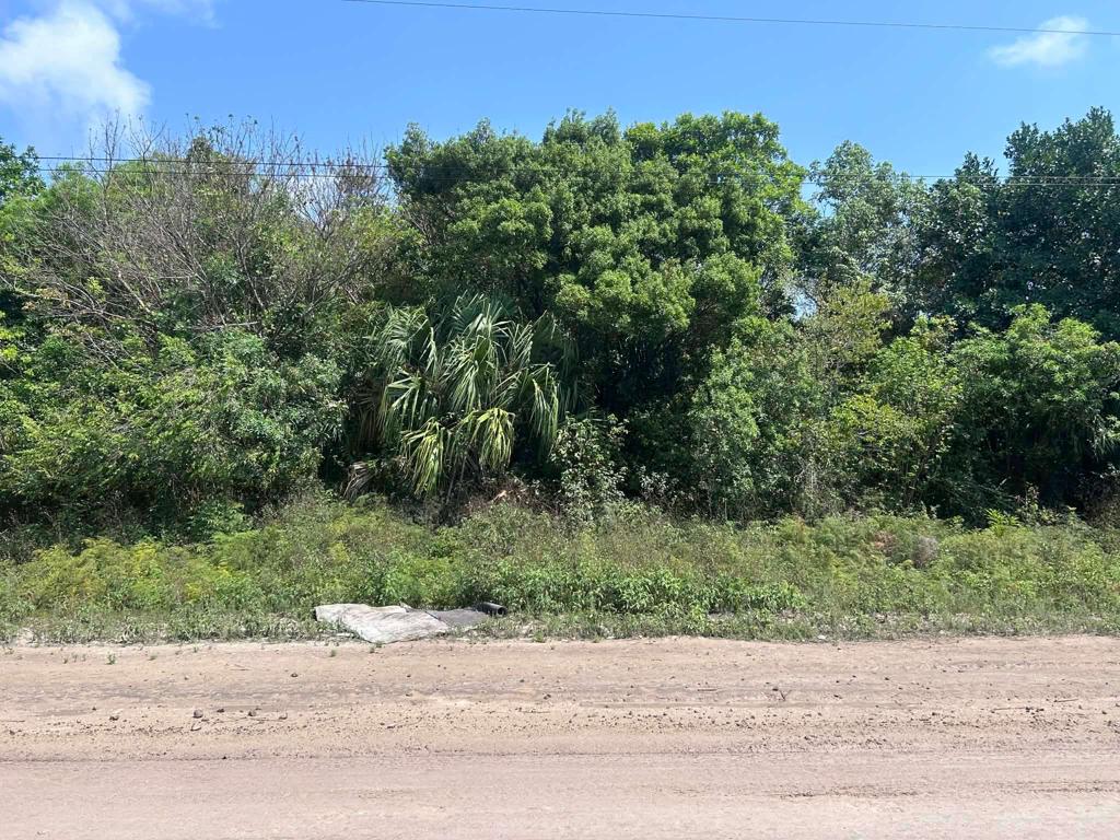 listing image with ID 110014