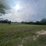 listing image thumbnail with ID 109994