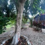 listing image thumbnail with ID 109398