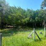 listing image thumbnail with ID 109489