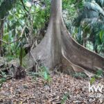 listing image thumbnail with ID 109970