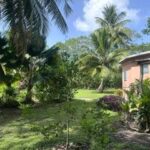 listing image thumbnail with ID 109305