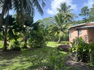 listing image with ID 109305