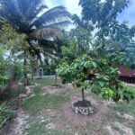 listing image thumbnail with ID 109399
