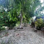 listing image thumbnail with ID 109401